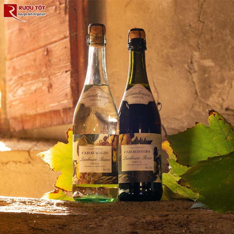 Vang đỏ Carvagagio Lambrusco Emilia Amabile Rosso