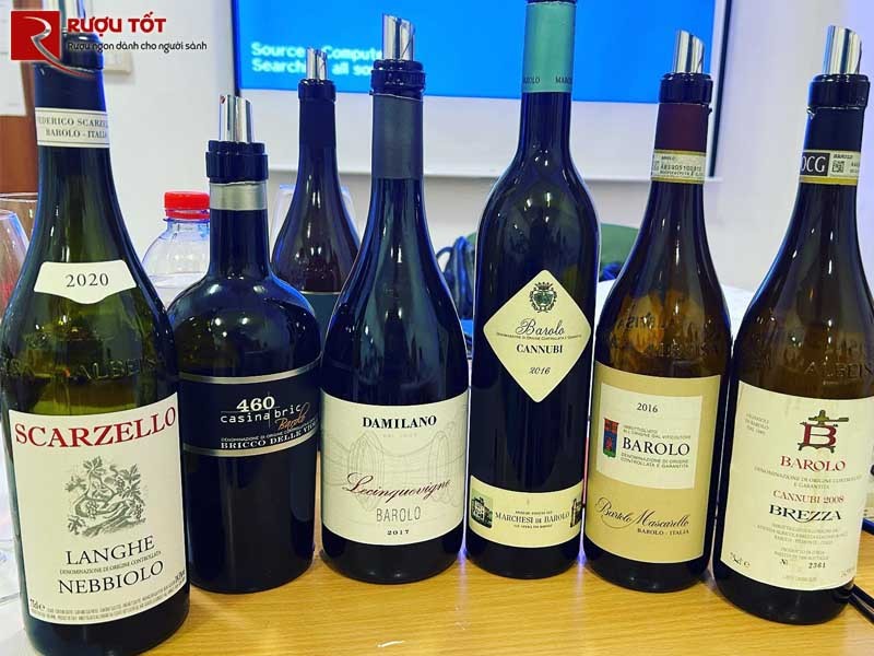 Vang đỏ Damilano Barolo-1