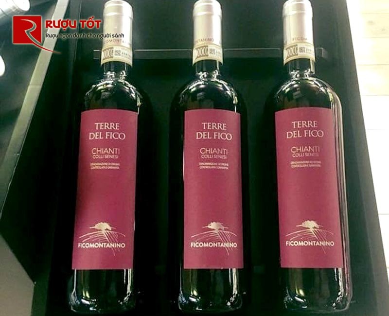 Vang đỏ Terre Del Fico