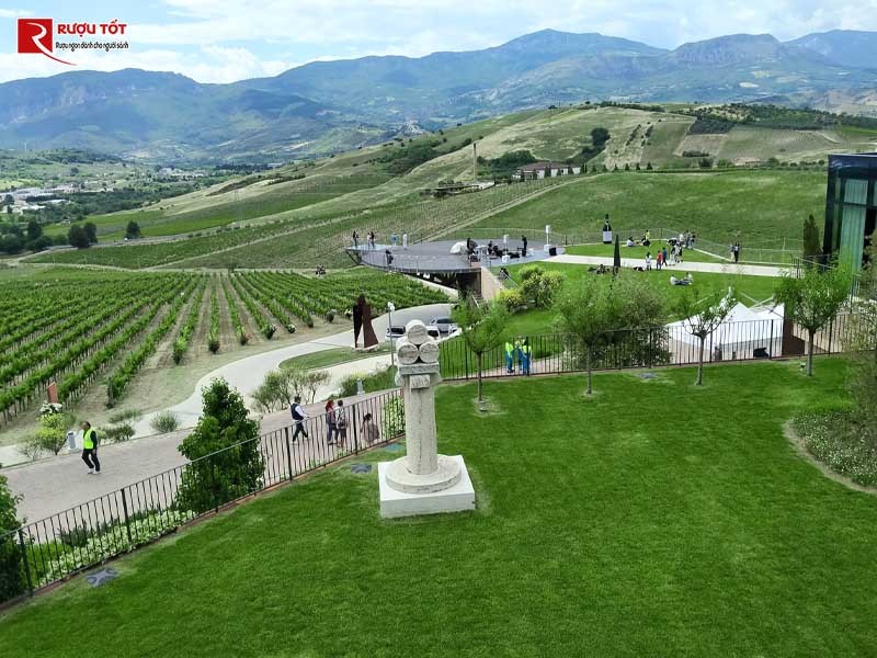 Vang đỏ Ý Cantina Zaccagnini Montepulciano