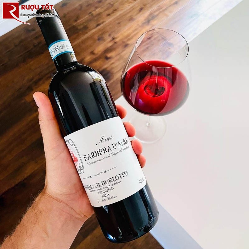 Vang Ý Aves Barbera D’alba Comm GB Burlotto