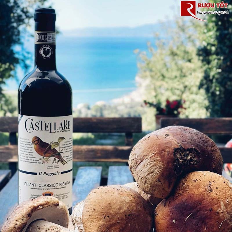 Vang Ý Castellare Il Poggiale Chianti Classico Riserva
