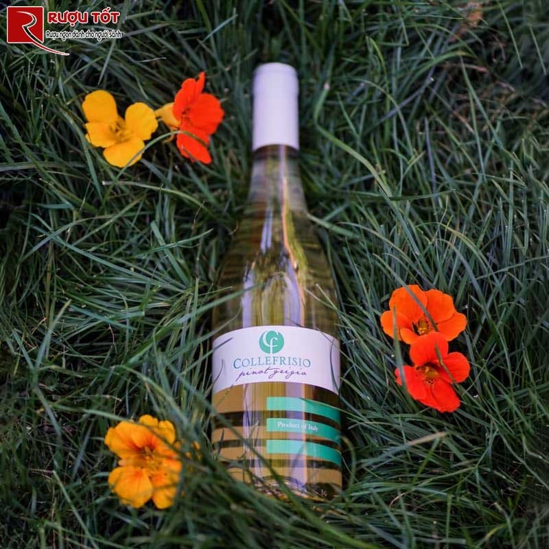 Vang Ý Collefrisio Pinot Grigio