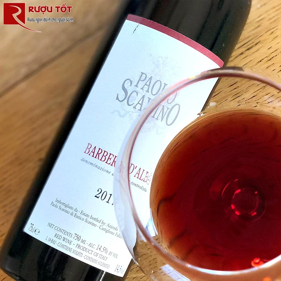 Vang Ý Paolo Scavino Barbera d’Alba
