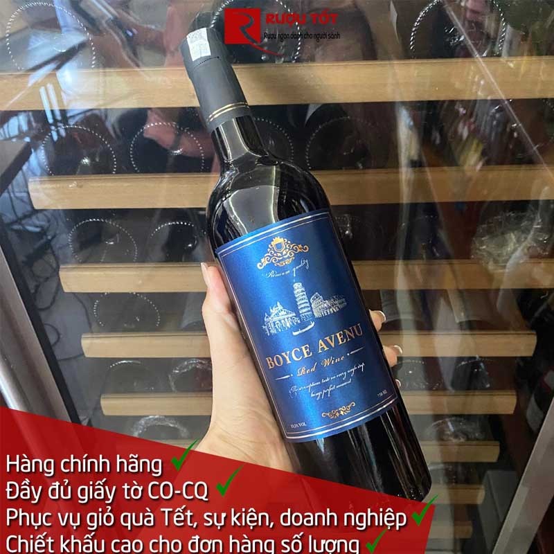 Ruou vang viet nam Boyce Avenu