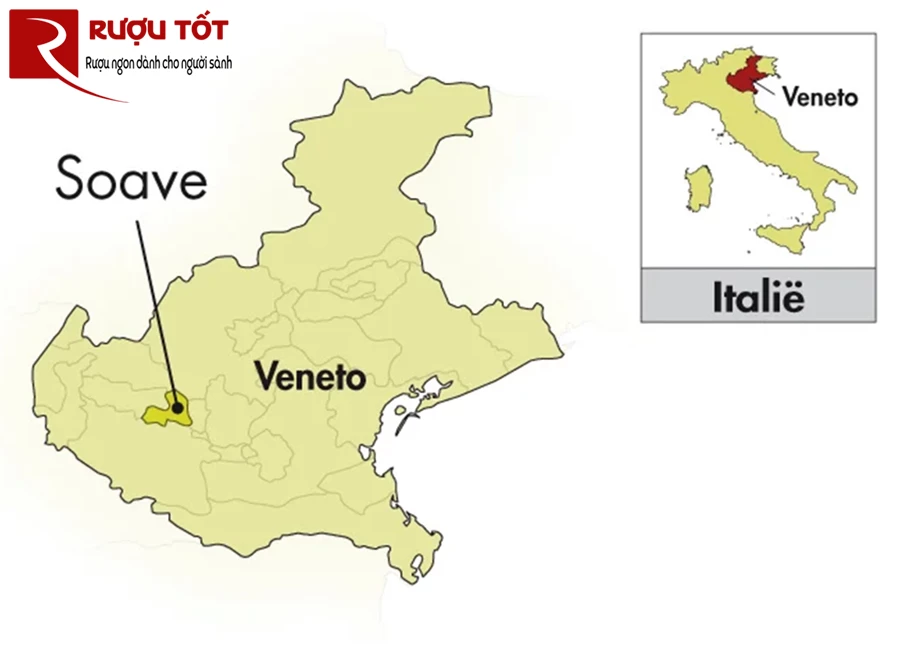 ruou vang soave