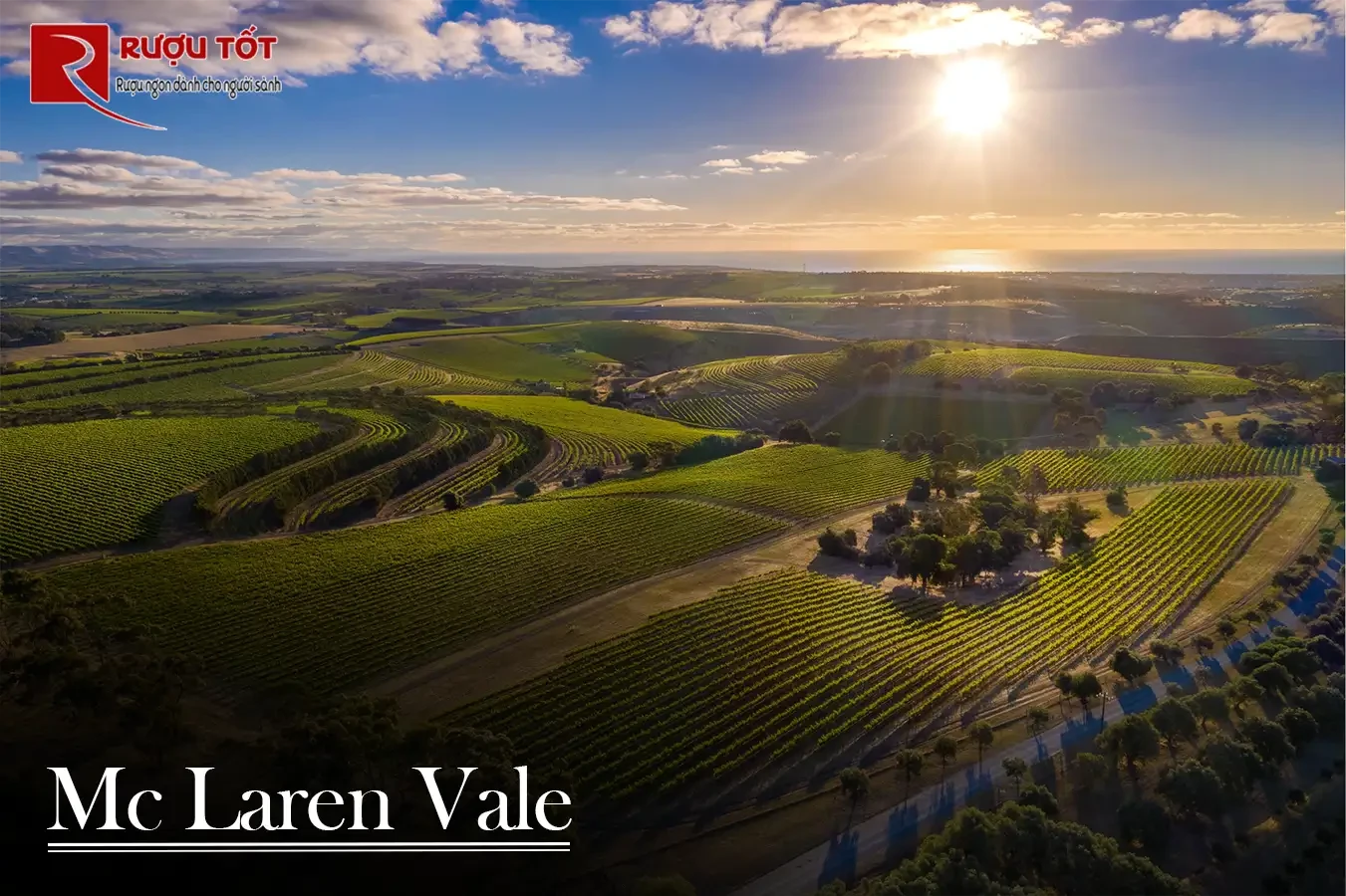 vang mclaren vale