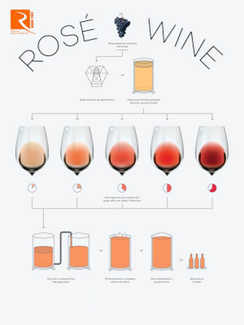 4 Loại rượu vang hồng sản xuất từ những giống nho đặc biệt