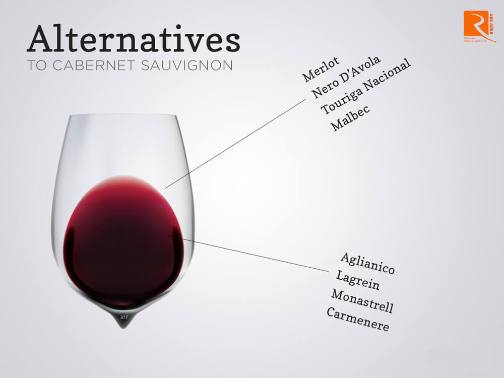 Những giống nho làm rượu thay thế cho Cabernet Sauvignon