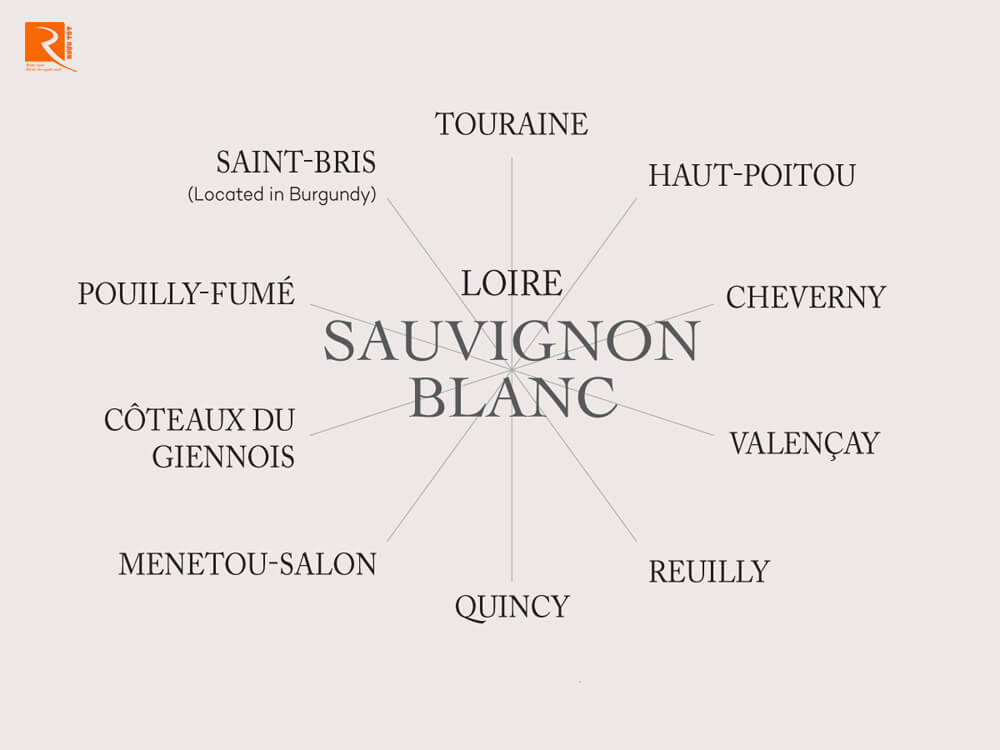 Các hợp chất khác thêm vào Sauvignon Blanc ở Thung lũng Loire.