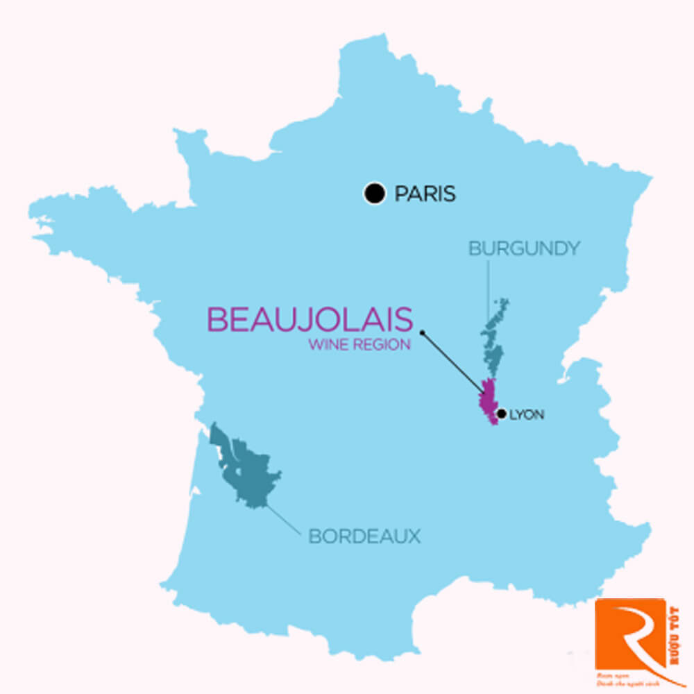 10 vùng của Beaujolais cho vị nho Gamay khác nhau