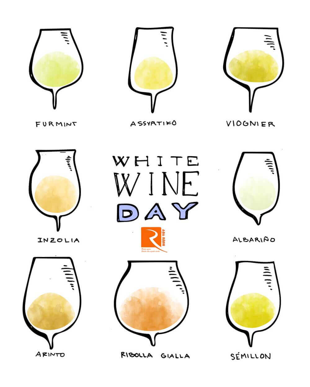 4 Loại rượu vang trắng độc đáo mà bạn nên thử.