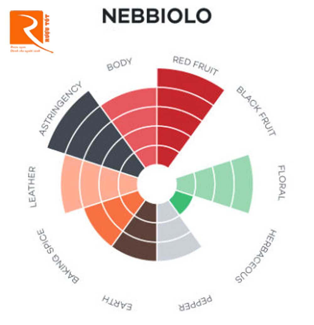 Rượu vang Nebbiolo nhẹ và chúng còn có mùi nhẹ với trái cây màu đỏ và mùi hương hoa hồng. 
