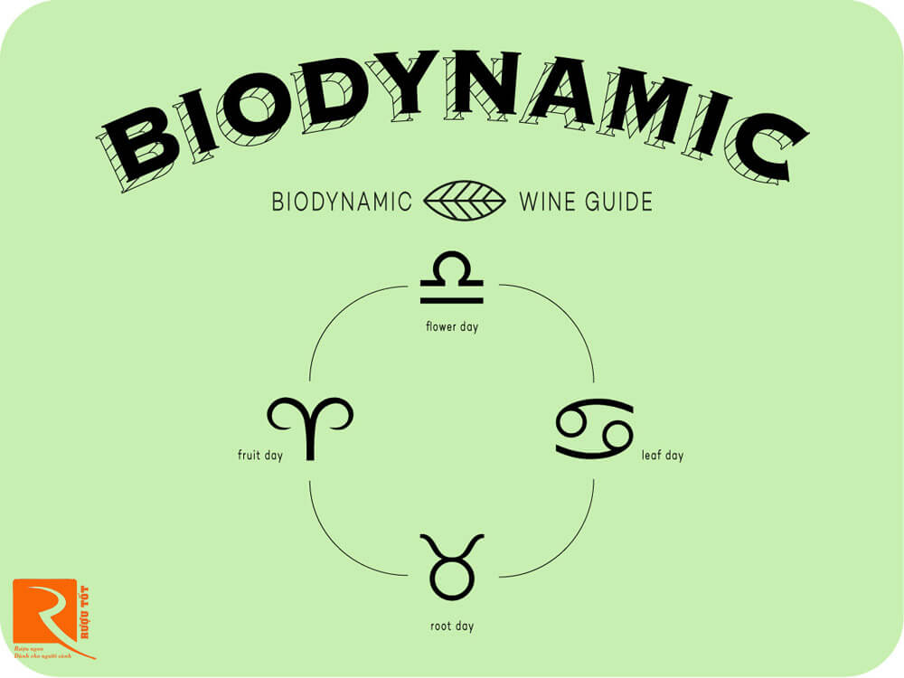 Thực chất rượu vang Biodynamic là rượu vang hữu cơ tuyệt vời và kỳ lạ.