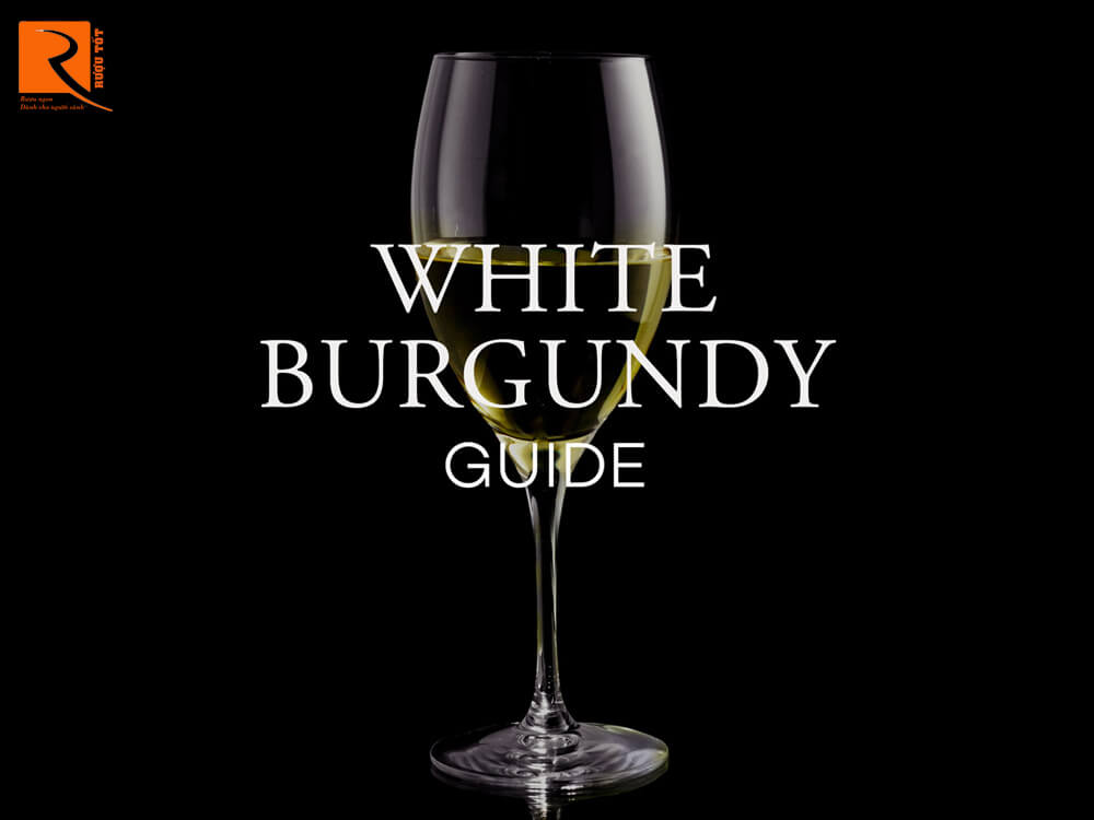 Bắt đầu tìm hiểu về White Burgundy