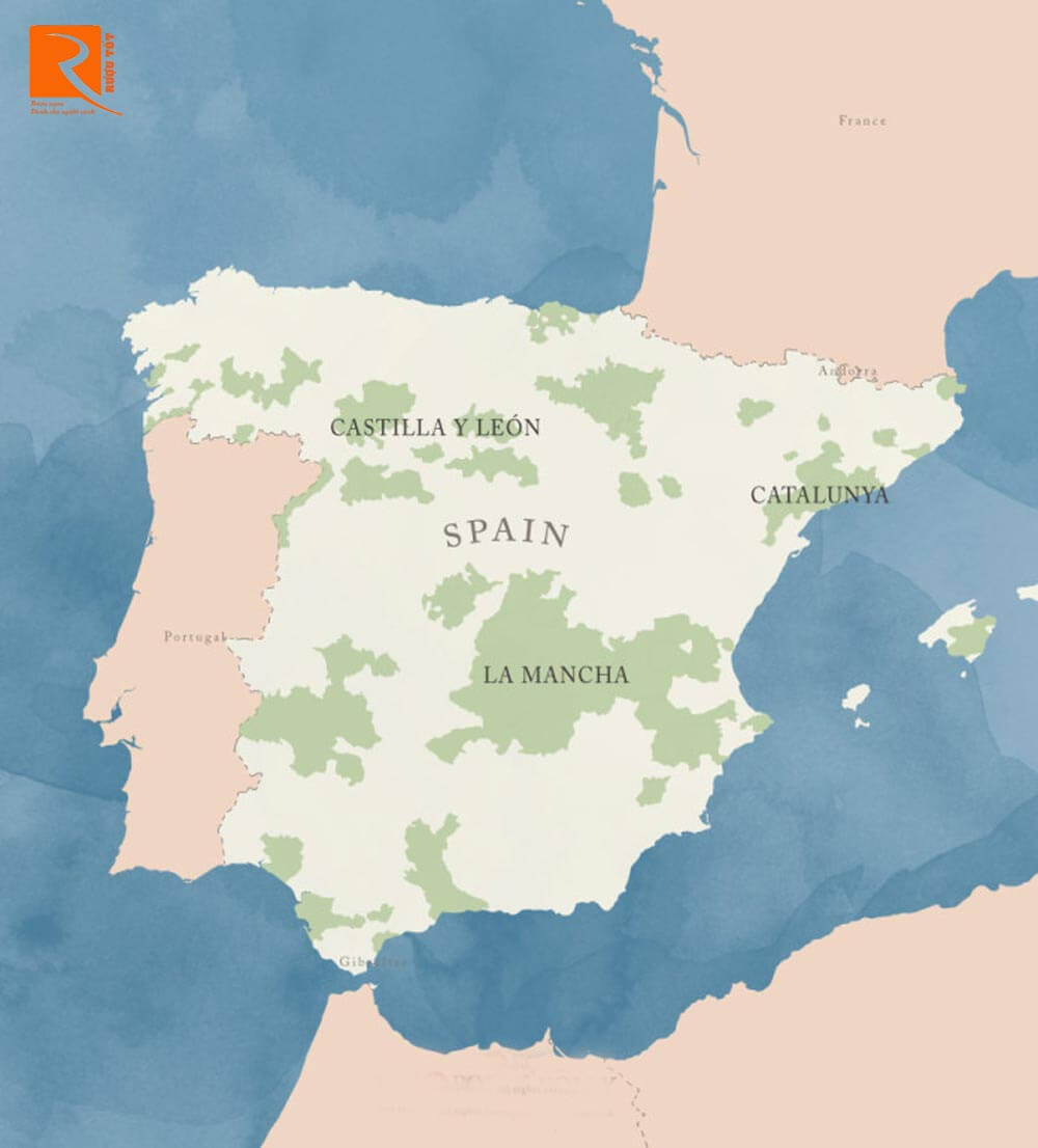 Sauvignon Blanc Tây Ban Nha phát triển ở La Mancha