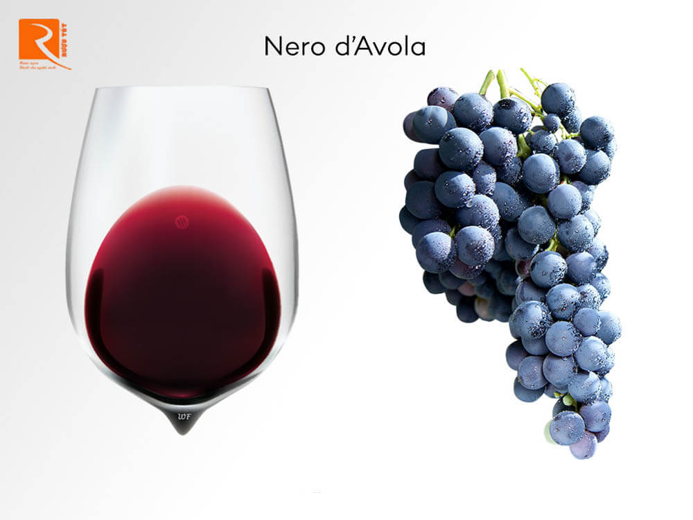 Hướng dẫn cơ bản về rượu vang nho Nero d’Avola.