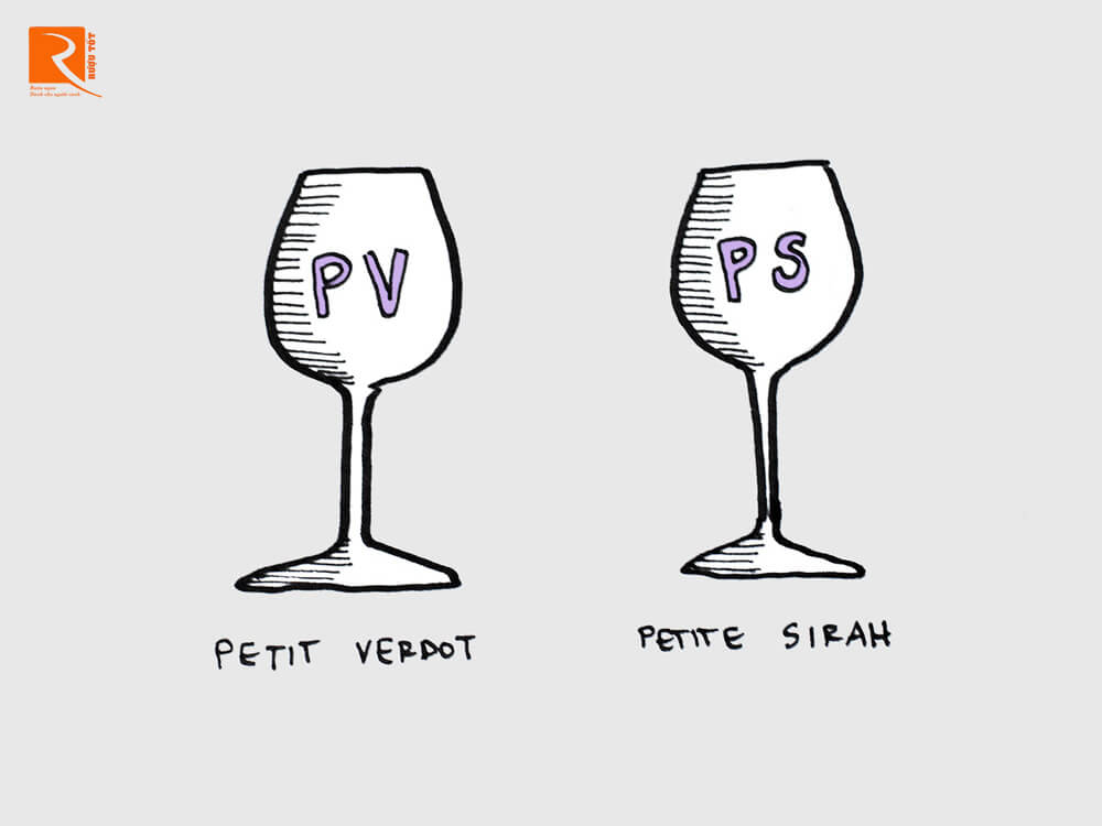 Nho Petit Verdot và Petite Sirah hiếm từ Pháp ở vùng này