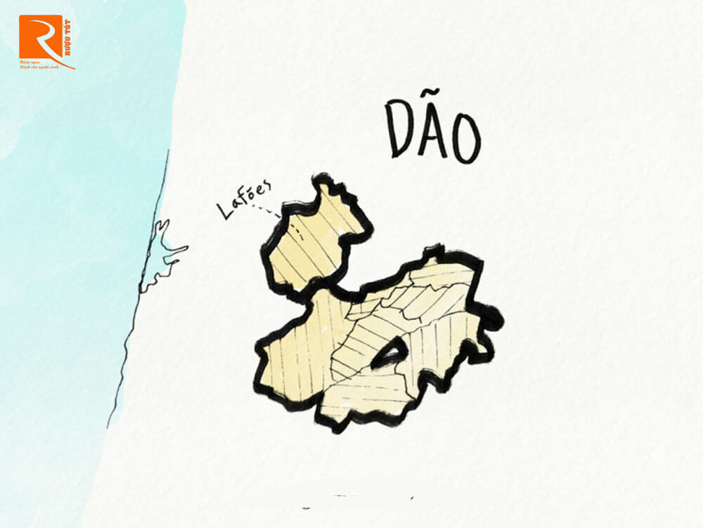  Rượu vang từ Dão có phong cách nhẹ hơn so với Douro nhưng có tuổi rất cao.