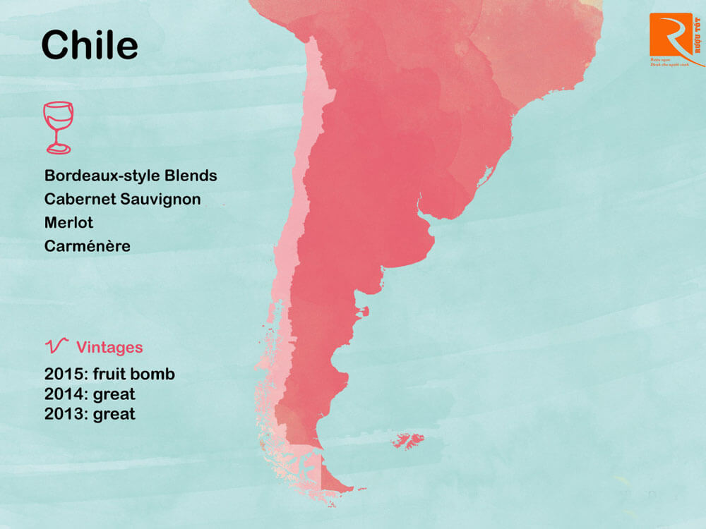 Khi Chile sẽ thấy rượu vang chất lượng hơn từ các nhà sản xuất độc lập đến từ Chile.