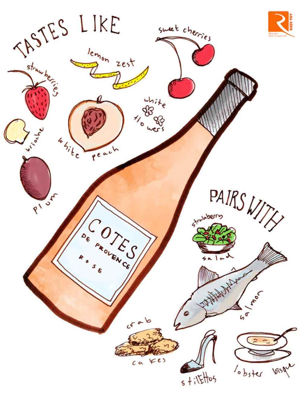 Côtes de Provence được biết là một trong những loại rượu vang tốt nhất toàn khu vực. 