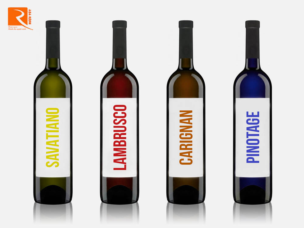 4 Loại rượu vang tốt hơn danh tiếng của nơi nó sản xuất