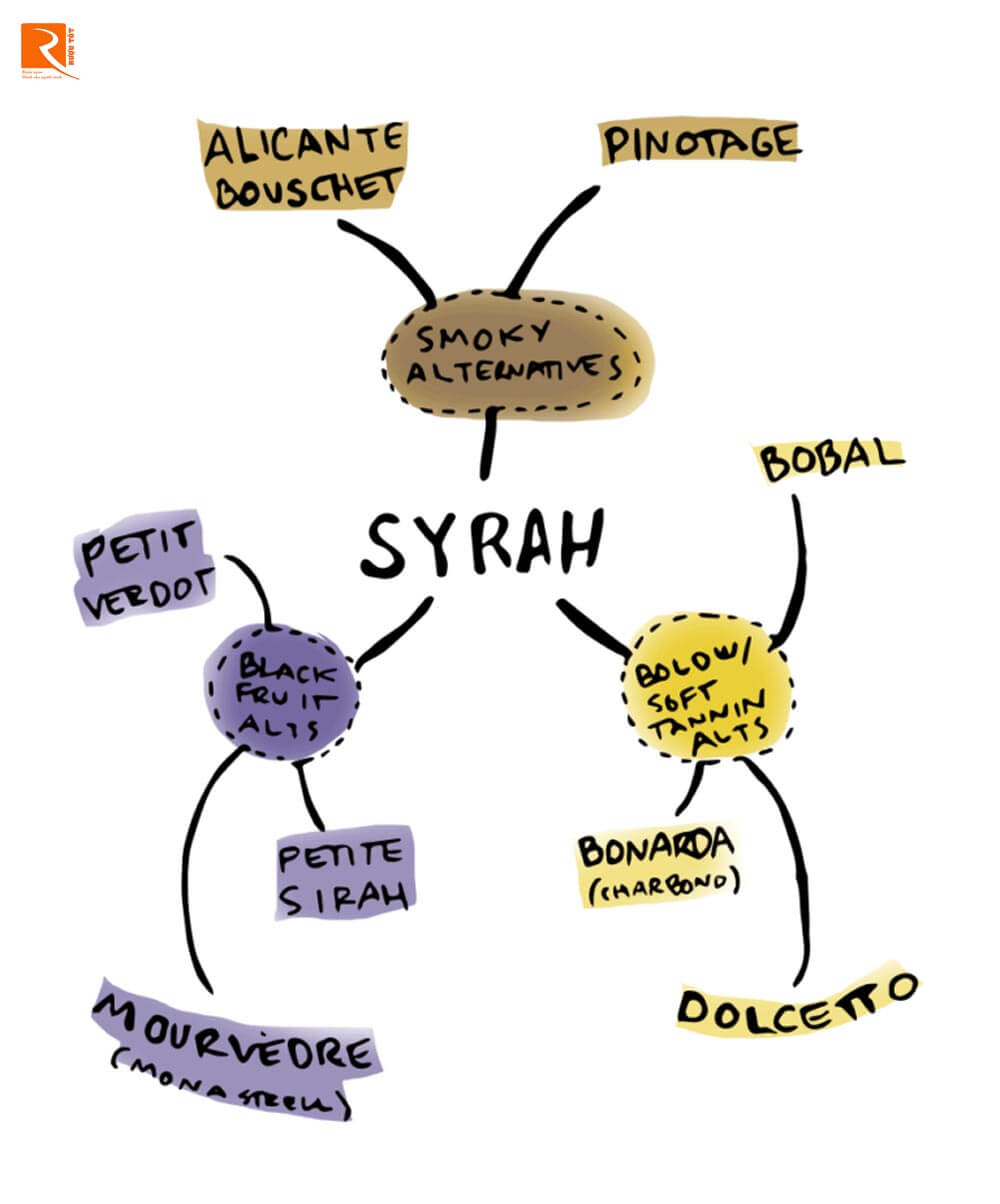 rượu vang Syrah có một loạt các hương vị tiềm năng có đặc điểm cơ bản