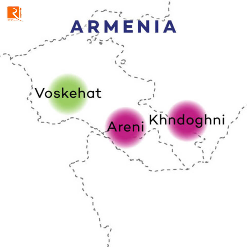 Giống nho đỏ này đến từ một thị trấn cùng tên ở phía nam Armenia.