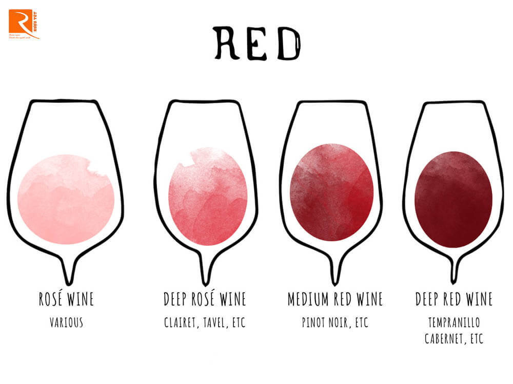 Từ Pinot Noir đến Merlot có hàng trăm giống nho có vỏ sẫm màu