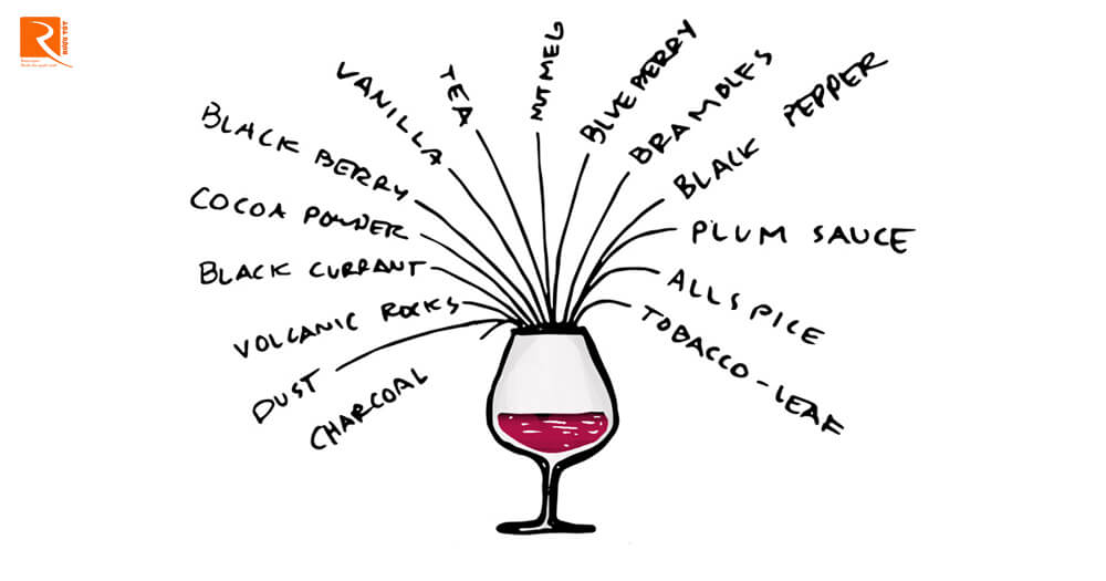 Hàng trăm hương liệu được tìm thấy trong rượu vang đỏ đến từ nho.