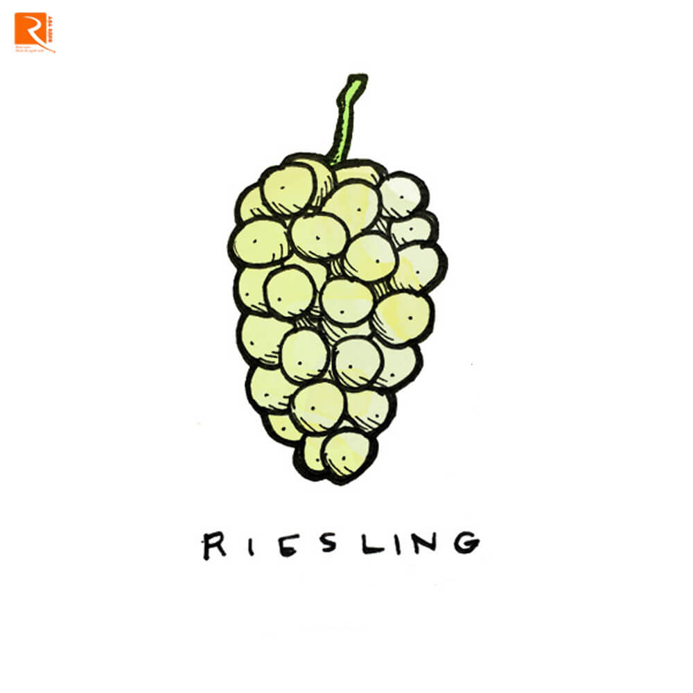 Chúng mang lại cho Rieslings tập trung biểu hiện sâu sắc với cam quýt, thảo mộc tươi
