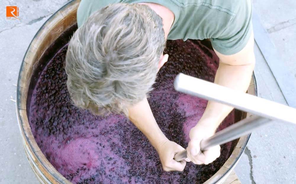 Một số nhà sản xuất rượu kiểm soát rượu vang.