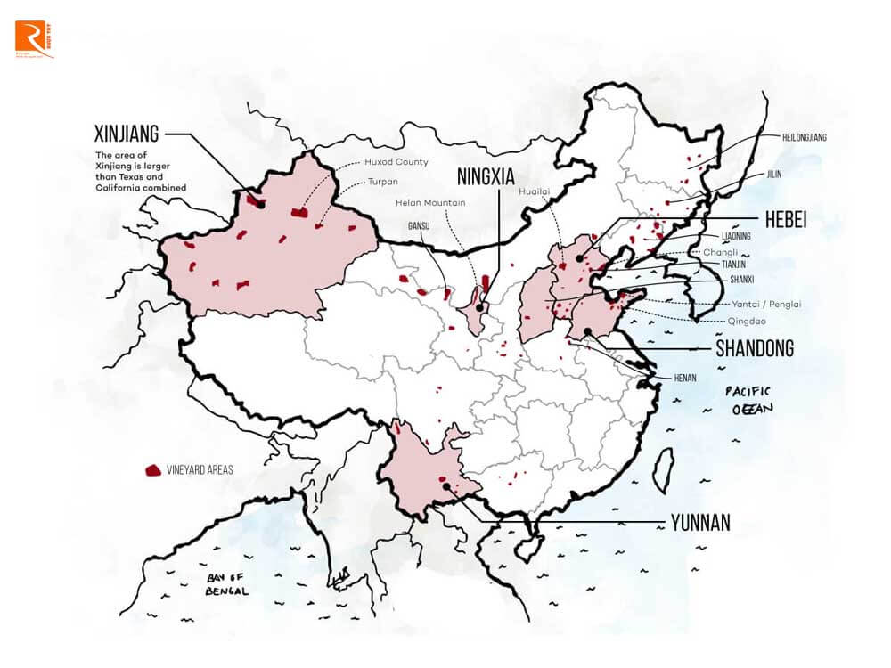 Rượu Trung Quốc: Thống trị bởi các thương hiệu lớn