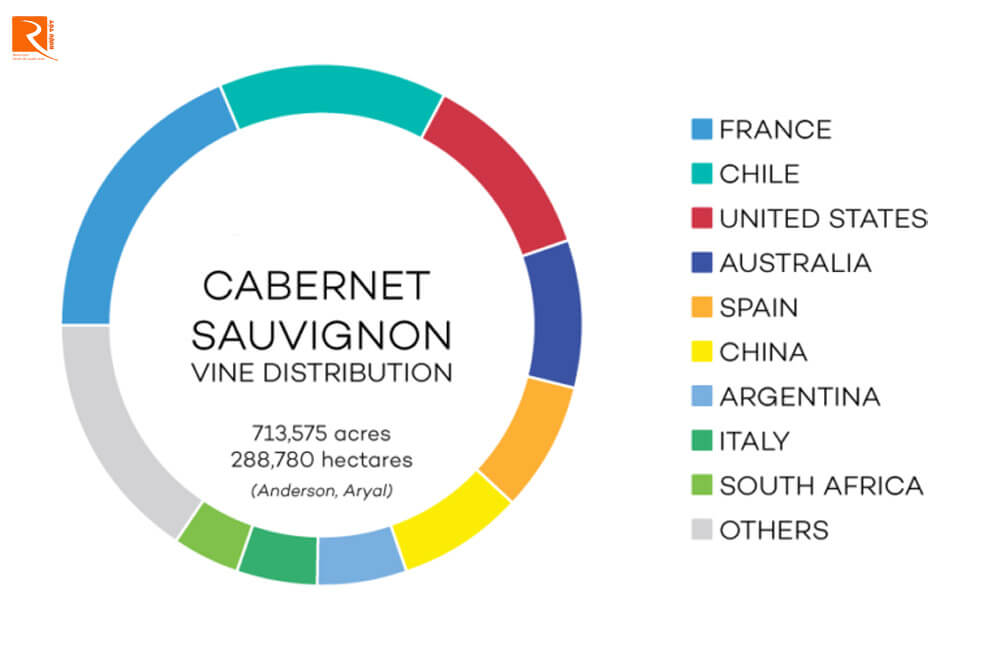 Cabernet Sauvignon hoạt động tốt nhất trên các loại đất sỏi ở Bordeaux.
