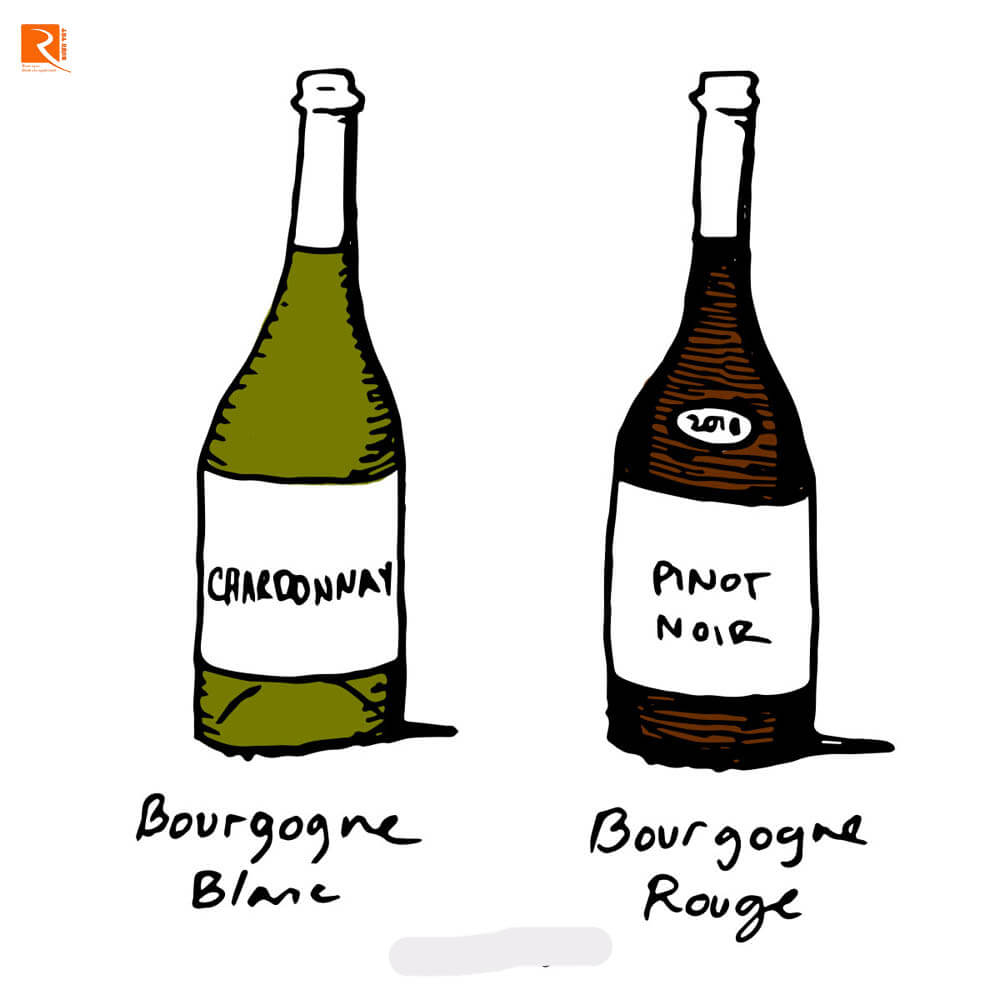 Vùng rượu vang Burgundy