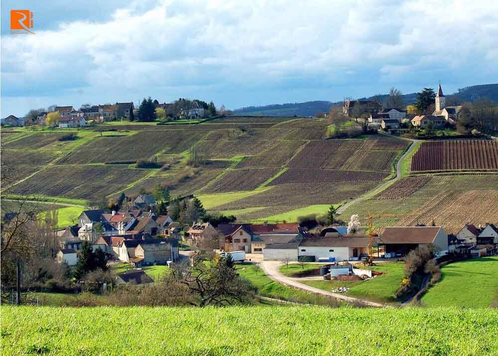 Các ngôi làng của Mercurey, Givry và Montagny nằm trên những vùng đất tuyệt vời với hơn 13 loại đất.
