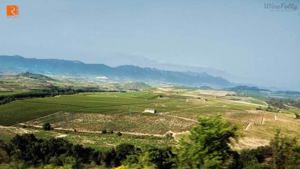 Rioja ở Bắc Trung Tây Ban Nha. 