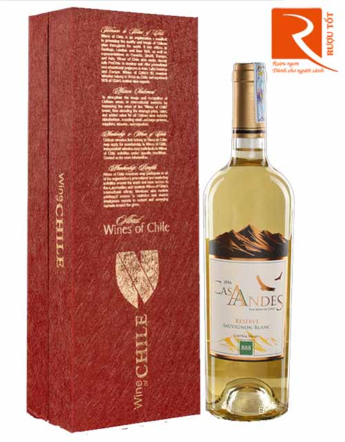 Rượu vang Cas Andes Reserve Sauvignon Blanc