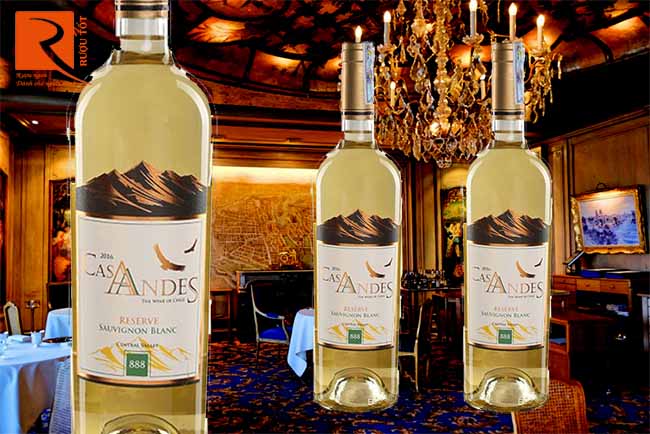 Rượu vang Chile Cas Andes Reserve Sauvignon Blanc