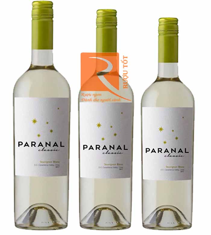 Vang Chile Paranal Classic Sauvignon Blanc