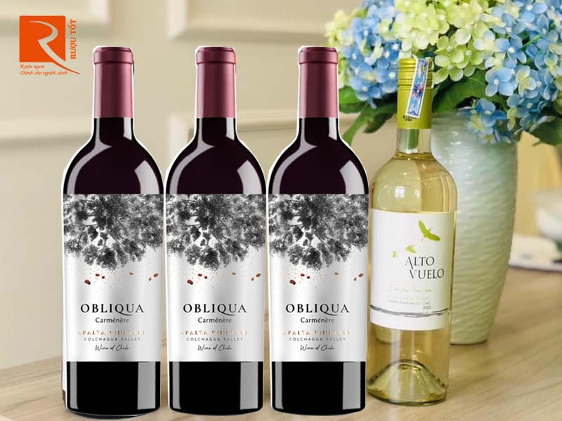 Rượu vang Chile Obliqua Limited Edition Carmenere Colchagua Valley