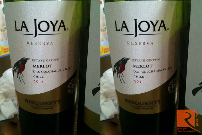 Rượu Vang La Joya Reserva Merlot Bisquertt