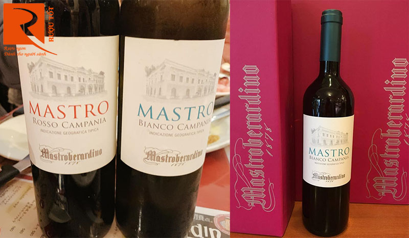 Rượu Vang Mastro Bianco Campania Mastroberardino
