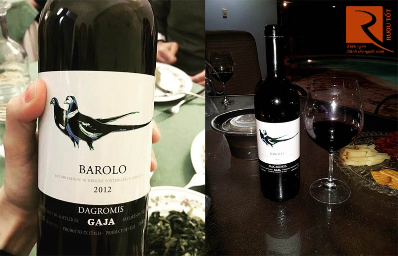 Rượu Vang Barolo Dagromis Gaja