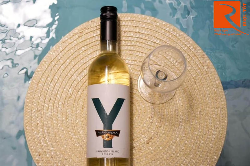 Rượu Vang Y Reserva Sauvignon Blanc