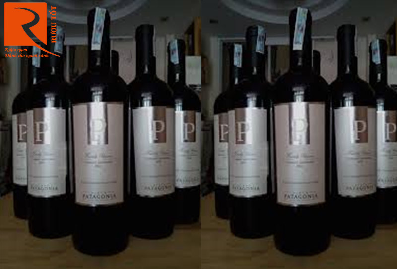 Rượu Vang Patagonia Family Reseva Cabernet Sauvignon