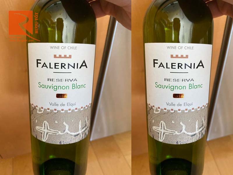 Rượu vang Chile Falernia Sauvignon Blanc Reserva