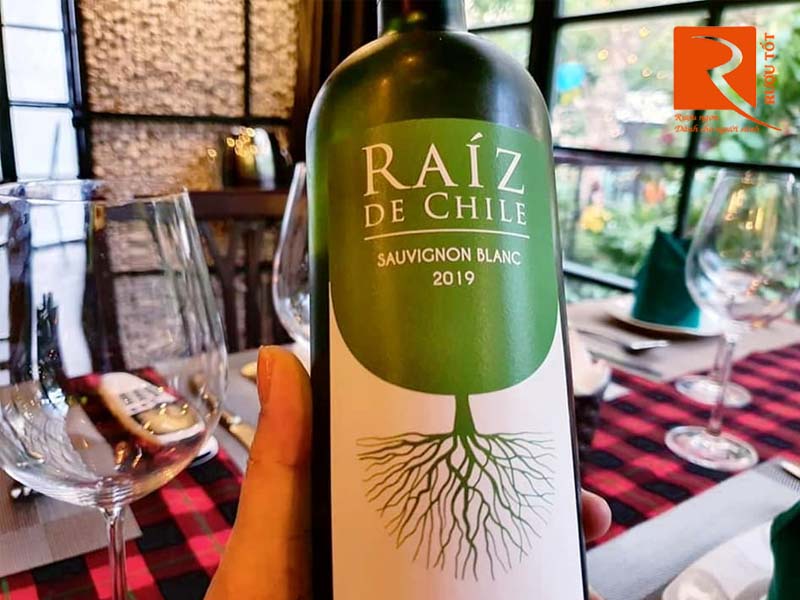 Rượu vang Raíz De Chile Sauvignon Blanc