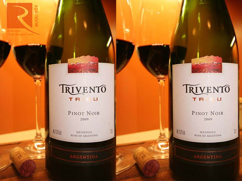 Tribu Trivento Pinot Noir