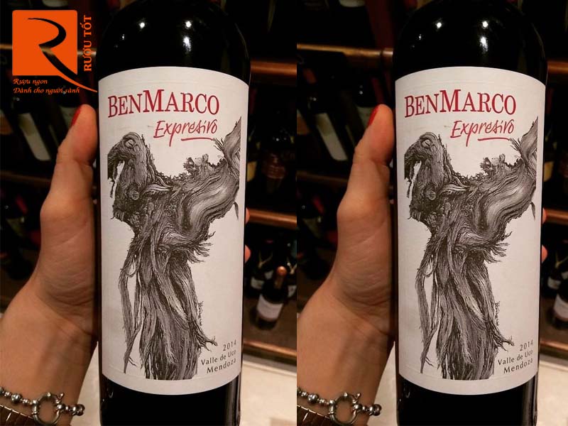 Rượu vang BenMarco Expresivo Mendoza
